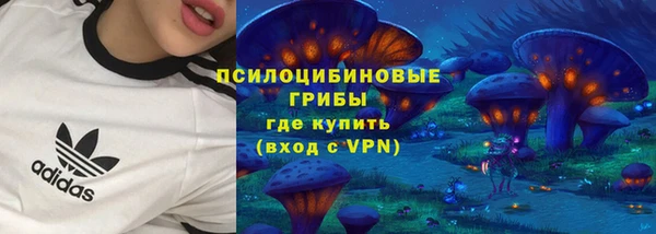 экстази Касимов