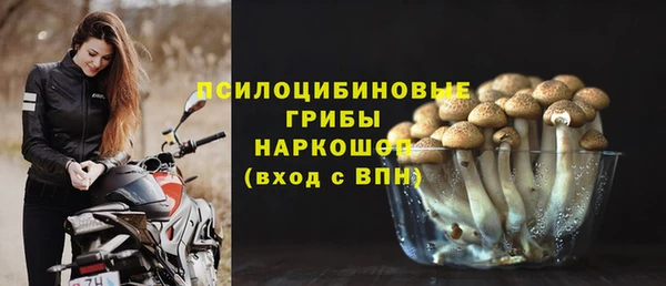 СК Каменногорск