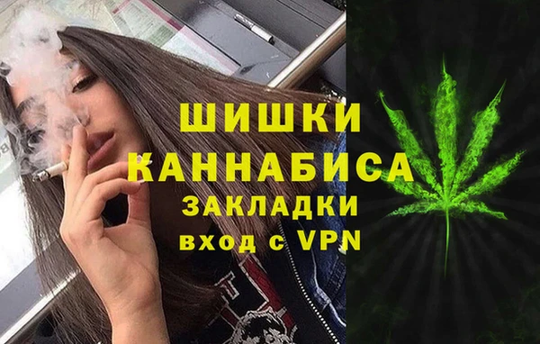 прущая мука Каменка