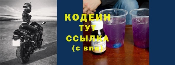 СК Каменногорск