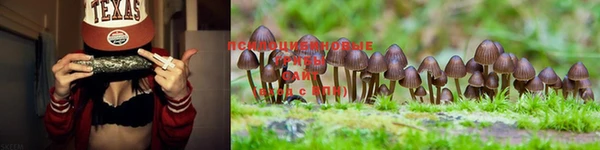 экстази Касимов
