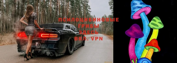 прущая мука Каменка