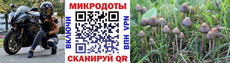 Псилоцибиновые грибы ЛСД  Старый Оскол 
